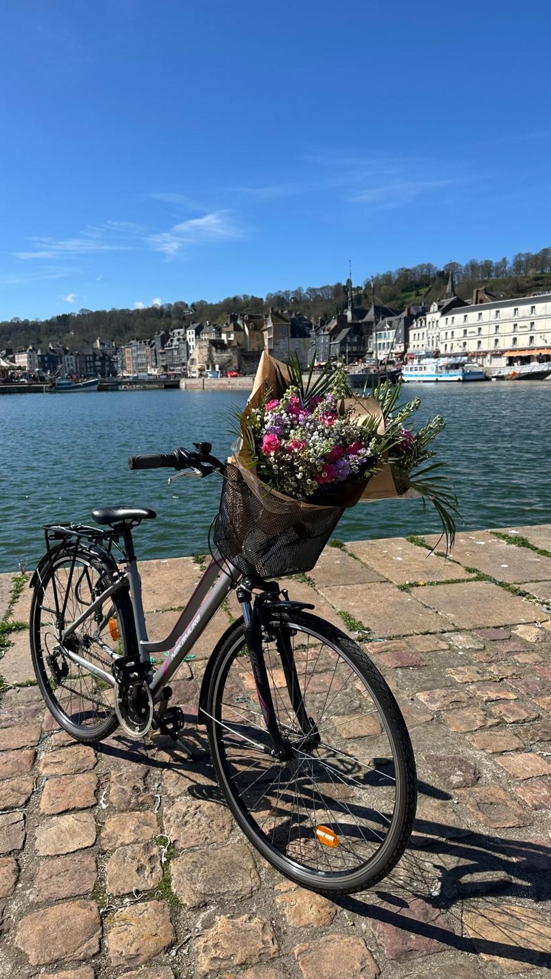 Les Calins D'Honfleur Apartment Екстериор снимка